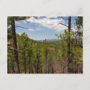 Heddy Zeichn Overlook, Custer Staat Park, SD Postkarte