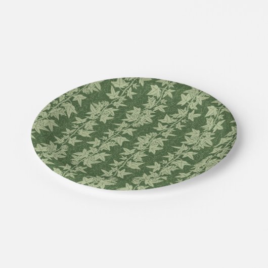 Hedera Ivy Vines - botanisch grünes L_D Muster. Pappteller (Schrägansicht)