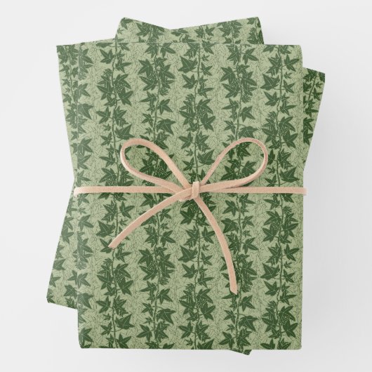 Hedera Ivy Vines - botanisches grünes D_L Muster. Geschenkpapier Set (Beispiel)