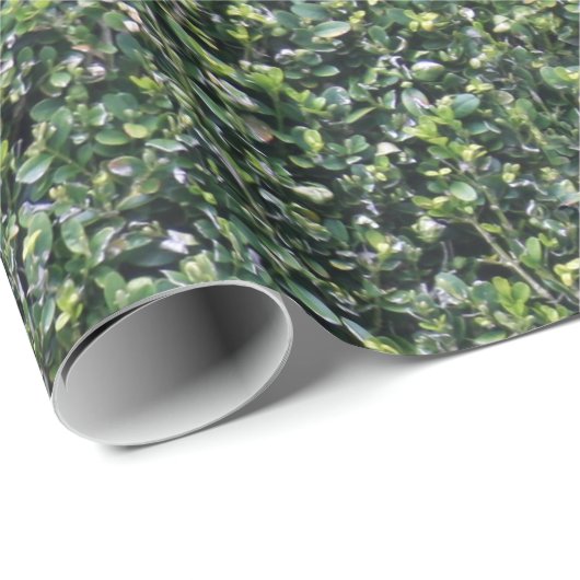 Hedge-Blätter Foliage Textur Geschenkpapier (Rolleneckpunkt)