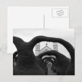 Hedge Maze Postkarte (Vorne/Hinten)