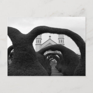 Hedge Maze Postkarte