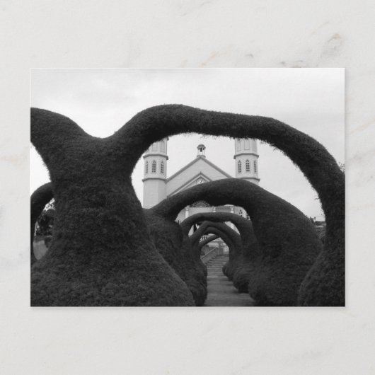 Hedge Maze Postkarte (Vorderseite)