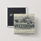 Hedge Row Vineyard, Fresno Button (Vorne & Hinten)