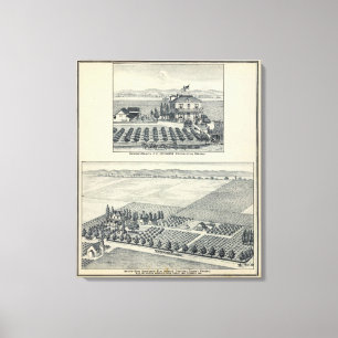 Hedge Row Vineyard, Fresno Leinwanddruck