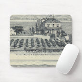 Hedge Row Vineyard, Fresno Mousepad (Mit Mouse)