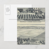 Hedge Row Vineyard, Fresno Postkarte (Vorne/Hinten)