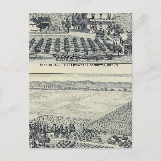 Hedge Row Vineyard, Fresno Postkarte (Vorderseite)