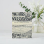 Hedge Row Vineyard, Fresno Postkarte (Stehend Vorderseite)