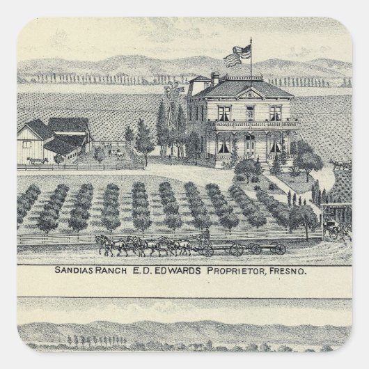 Hedge Row Vineyard, Fresno Quadratischer Aufkleber (Vorderseite)