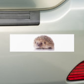 Hedgehog, Autoaufkleber (Auf Auto)