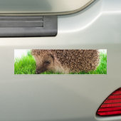 hedgehog autoaufkleber (Auf Auto)