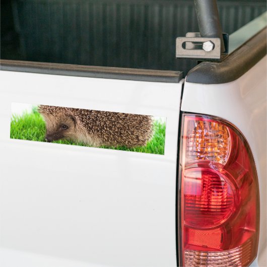 hedgehog autoaufkleber (Auf Lkw)