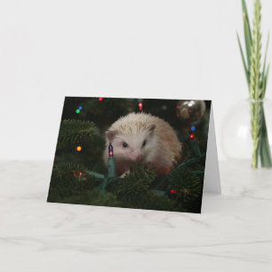 Hedgehog Christmas Card Feiertagskarte
