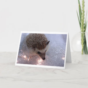 Hedgehog Christmas Card Feiertagskarte
