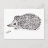 HEDGEHOG FEIERTAGSPOSTKARTE (Vorderseite)