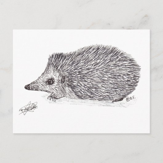 HEDGEHOG FEIERTAGSPOSTKARTE (Vorderseite)