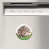 Hedgehog Magnet (In Situ (Geschirrspüler))