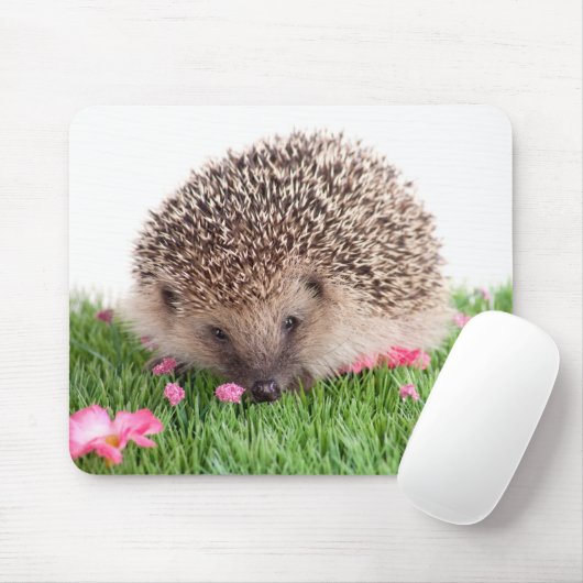 Hedgehog Mousepad (Mit Mouse)