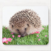 Hedgehog Mousepad (Vorne)