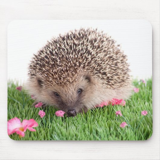 Hedgehog Mousepad (Vorne)