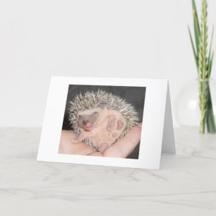Hedgehog Notecard Karte