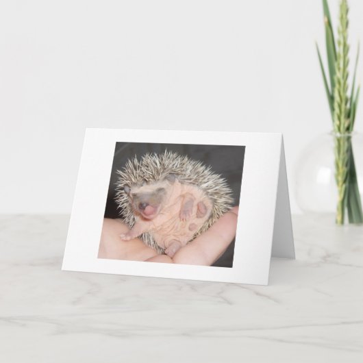 Hedgehog Notecard Karte (Vorderseite)
