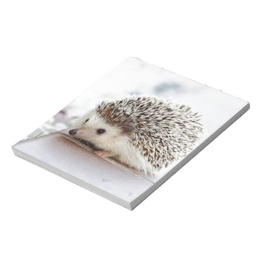 Hedgehog Notizblock (Rotiert)