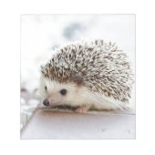 Hedgehog Notizblock (Vorderseite)