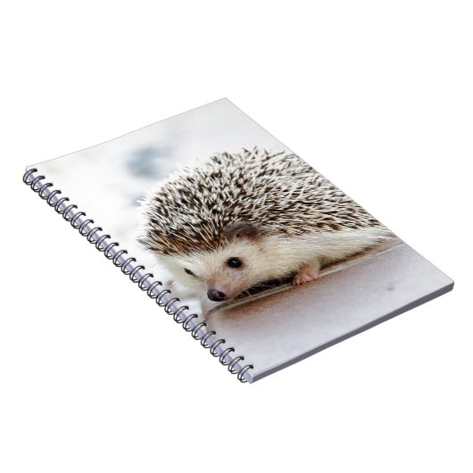 Hedgehog Notizblock (Rechte Seite)