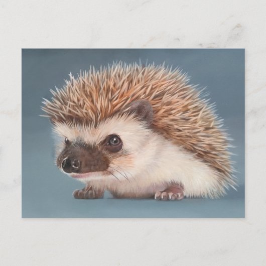 Hedgehog Postcard Postkarte (Vorderseite)