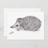 HEDGEHOG POSTKARTE (Vorne/Hinten)