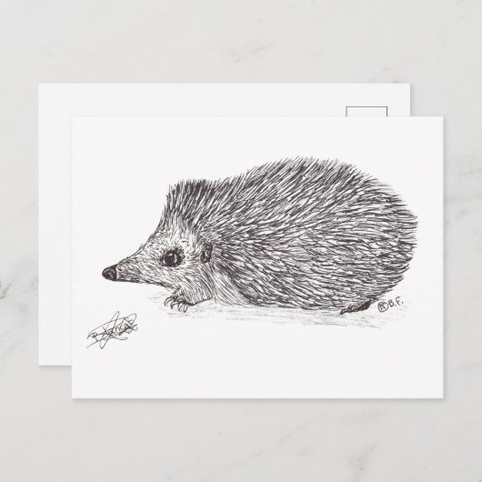 HEDGEHOG POSTKARTE (Vorne/Hinten)