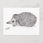 HEDGEHOG POSTKARTE (Vorderseite)