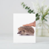 Hedgehog, Postkarte (Stehend Vorderseite)