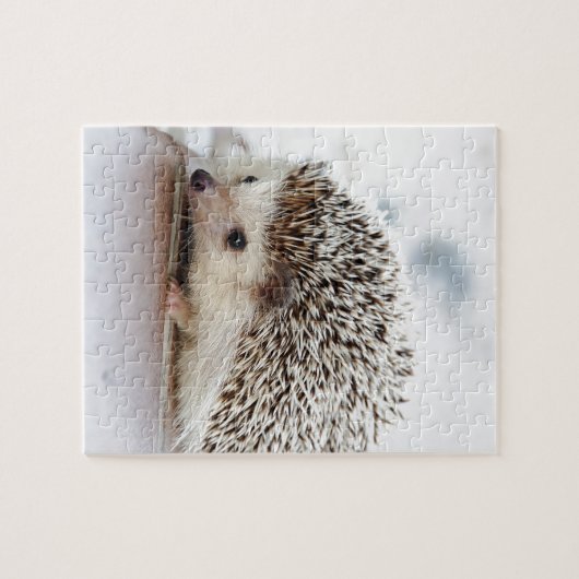 Hedgehog Puzzle (Horizontal)