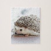Hedgehog Puzzle (Vertikal)