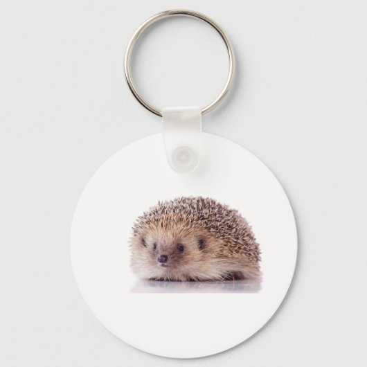 Hedgehog, Schlüsselanhänger (Vorderseite)
