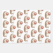 Hedgehog with Heart Love Geschenkpapier Set (Vorderseite 2)