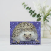 Hedgehogworld Postkarte (Stehend Vorderseite)