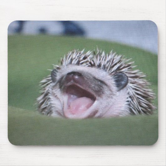 hedgy mousepad (Vorne)