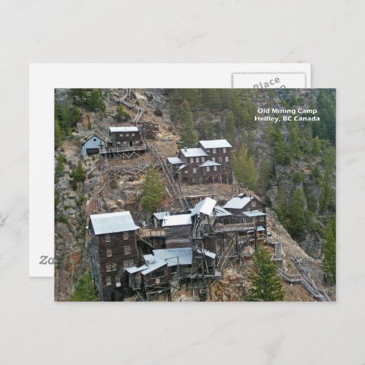 Hedley Mining Camp Postcard Postkarte (Vorne/Hinten)