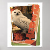 Hedwig 1 poster (Vorne)