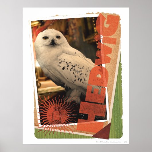 Hedwig 1 poster (Vorne)