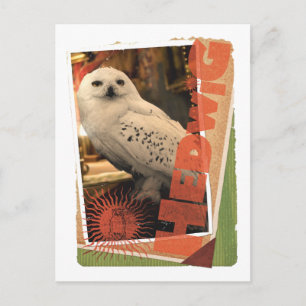 Hedwig 1 postkarte