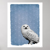 Hedwig 2 poster (Vorne)