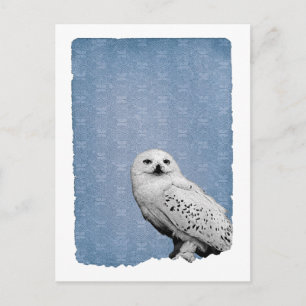 Hedwig 2 postkarte