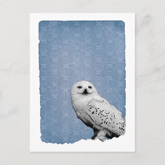 Hedwig 2 postkarte (Vorderseite)