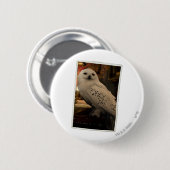 Hedwig 3 button (Vorne & Hinten)