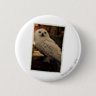 Hedwig 3 button